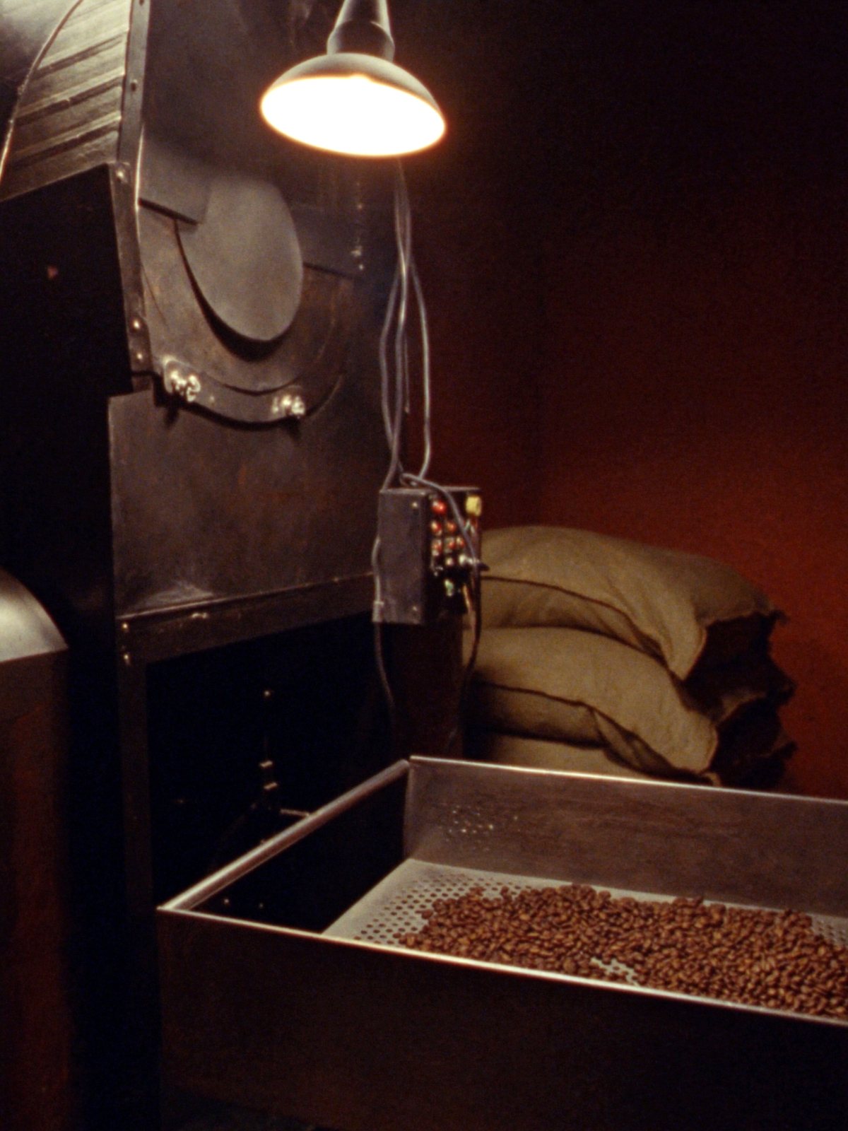 The drum roaster mid-batch, cooling tray out